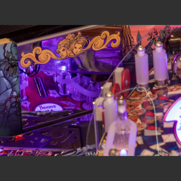Alice’s Adventures in Wonderland - Image 7